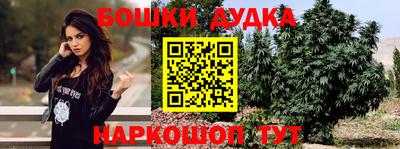 скорость Новодвинск