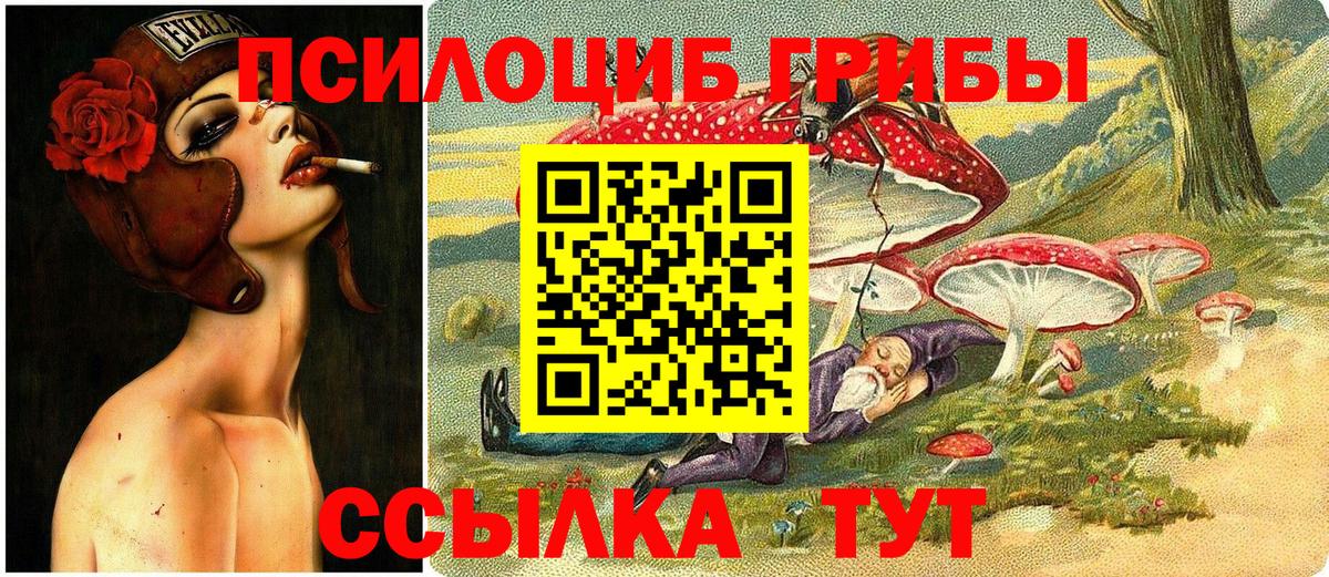 Галлюциногенные грибы Psilocybine cubensis Учалы